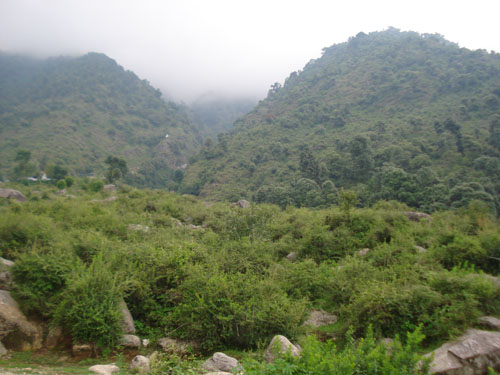 Scenery of Upper Bhagsu