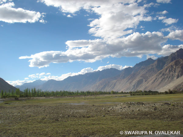 Heaven on Earth: Ladakh (Part III – Beautiful Nubra Valley)