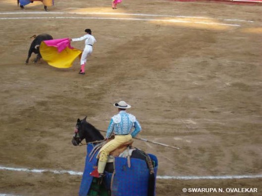 Bullfighting in Mexico 