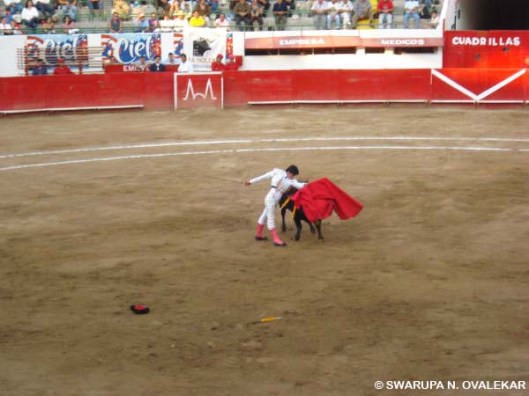 Bullfighting in Mexico